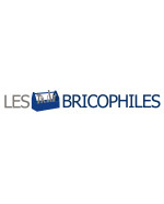 LESBRICOPHILES